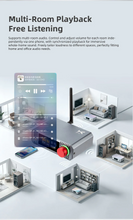 Load image into Gallery viewer, [🎶SG] xDuoo DP-01 (DP01) - CS43198 Desktop Music Streamer &amp; DAC
