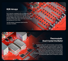 Load image into Gallery viewer, [🎶SG] Musician Audio Taurus - R2R DAC
