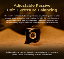 Load image into Gallery viewer, [🎶SG] AFUL PERFORMER 8S - 1DD + 6BA + 1 Passive Radiator + 1 Micro Planar Driver IEMs
