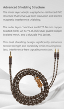 Load image into Gallery viewer, [🎶SG] SENDY AUDIO EGRET - 98*84mm Planar Magnetic Driver Wired Wooden Headphone
