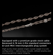 Load image into Gallery viewer, [🎶SG] DUNU DN142 - 1 DD + 4 BA + 2 Planar Tribrid Drivers IEMs
