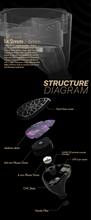 Load image into Gallery viewer, [🎶SG] TANGZU WU ZETIAN LEGEND Dual Planar Magnetic In-ear Monitors IEM
