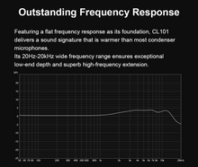 Load image into Gallery viewer, [🎶SG] TOPPING CL101 Studio Condenser Microphone
