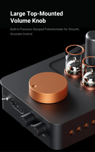 Load image into Gallery viewer, [🎶SG] FOSI AUDIO GR70 - Tube Headphone Amplifier
