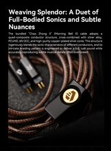 Load image into Gallery viewer, [🎶SG] ARISYN HUO SHU CU Edition - 10mm LCP Composite Diaphragm Dynamic Driver With 4.4mm Balanced IEMs
