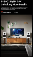 Load image into Gallery viewer, [🎶SG] FOSI AUDIO GR40 Tube DAC Preamp With Bluetooth And Tone Control
