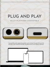 Load image into Gallery viewer, [🎶SG] TANGZU YULINGLONG (YU LING LONG) AK4493SEQ Portable DAC/AMP
