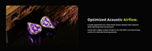 Load image into Gallery viewer, [🎶SG] EPZ 550 - 5 BA Flagship In-ear Monitors
