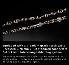 Load image into Gallery viewer, [🎶SG] DUNU DN242 - 2 DD + 4 BA + 2 Micro Planar Drivers IEMs
