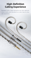 Load image into Gallery viewer, [🎶SG] SIVGA SM100 - Dual-Chamber Dynamic Driver Wired Earphones
