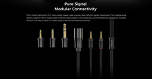 Load image into Gallery viewer, [🎶SG] AUNE AR9000 - Flagship Open-Back Headphones
