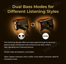 Load image into Gallery viewer, [🎶SG] AFUL PERFORMER 8S - 1DD + 6BA + 1 Passive Radiator + 1 Micro Planar Driver IEMs
