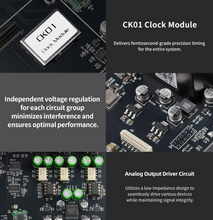 Load image into Gallery viewer, [🎶SG] GUSTARD AUDALYTIC DR70 - R2R Network Streaming DAC

