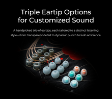Load image into Gallery viewer, [🎶SG] DUNU x KOTO ITO 2DD + 2BA Hybrid Drivers IEMs
