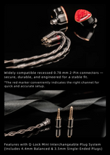 Load image into Gallery viewer, [🎶SG] DUNU DN242 - 2 DD + 4 BA + 2 Micro Planar Drivers IEMs
