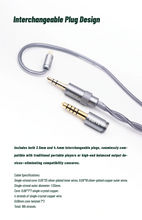 Load image into Gallery viewer, [🎶SG] BQEYZ NI - HiFi Gaming Earbuds In-ear Monitors IEM
