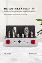 Load image into Gallery viewer, [🎶SG] xDuoo TA68 (TA-68) - Tube Headphone Amplifier &amp; Preamplifier
