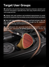 Load image into Gallery viewer, [🎶SG] ARISYN HUO SHU CU Edition - 10mm LCP Composite Diaphragm Dynamic Driver With 4.4mm Balanced IEMs
