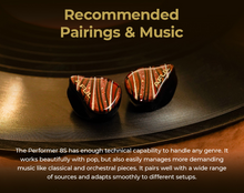 Load image into Gallery viewer, [🎶SG] AFUL PERFORMER 8S - 1DD + 6BA + 1 Passive Radiator + 1 Micro Planar Driver IEMs
