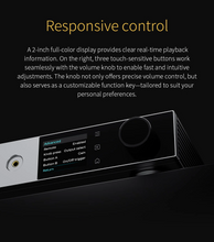 Load image into Gallery viewer, [🎶SG] TOPPING A900 Ultra Flagship Headphone Amplifier &amp; Preamplifier
