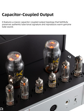 Load image into Gallery viewer, [🎶SG] xDuoo TA68 (TA-68) - Tube Headphone Amplifier &amp; Preamplifier
