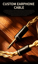 Load image into Gallery viewer, [🎶SG] TANGZU LI ZHI - Flagship Diamond Diaphragm Single Dynamic Driver IEMs
