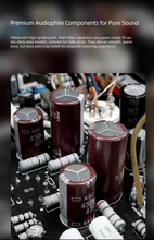 Load image into Gallery viewer, [🎶SG] xDuoo A35 - Integrated Vacuum Tube Amplifier
