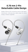 Load image into Gallery viewer, [🎶SG] SIVGA SM100 - Dual-Chamber Dynamic Driver Wired Earphones
