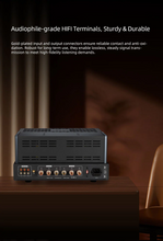 Load image into Gallery viewer, [🎶SG] xDuoo A35 - Integrated Vacuum Tube Amplifier
