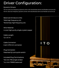 Load image into Gallery viewer, [🎶SG] DUNU x KOTO ITO 2DD + 2BA Hybrid Drivers IEMs
