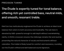 Load image into Gallery viewer, [🎶SG] KIWI EARS ETUDE - Beryllium DD + 3BA + Vibration Transducer
