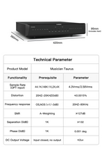 Load image into Gallery viewer, [🎶SG] Musician Audio Taurus - R2R DAC
