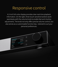Load image into Gallery viewer, [🎶SG] TOPPING D900 Discrete Digital to Analog Convertor (DAC)
