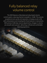 Load image into Gallery viewer, [🎶SG] TOPPING A900 Ultra Flagship Headphone Amplifier &amp; Preamplifier
