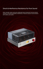 Load image into Gallery viewer, [🎶SG] xDuoo A35 - Integrated Vacuum Tube Amplifier
