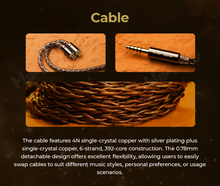 Load image into Gallery viewer, [🎶SG] AFUL PERFORMER 8S - 1DD + 6BA + 1 Passive Radiator + 1 Micro Planar Driver IEMs
