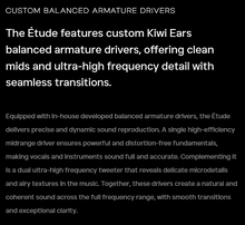 Load image into Gallery viewer, [🎶SG] KIWI EARS ETUDE - Beryllium DD + 3BA + Vibration Transducer
