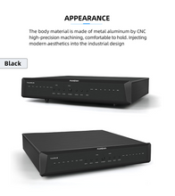 Load image into Gallery viewer, [🎶SG] Musician Audio Taurus - R2R DAC
