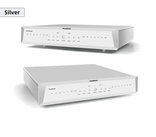 Load image into Gallery viewer, [🎶SG] Musician Audio Taurus - R2R DAC
