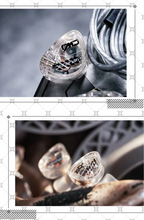 Load image into Gallery viewer, [🎶SG] TANGZU HARMONIC EMPIRE (HE) Cai Wenji - 10mm Single Dynamic Driver In-ear Monitors
