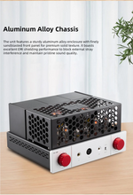 Load image into Gallery viewer, [🎶SG] xDuoo TA68 (TA-68) - Tube Headphone Amplifier &amp; Preamplifier
