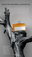 Load image into Gallery viewer, [🎶SG] EARACOUSTIC AUDIO OSHUN DECO -  Dual CS43198 Portable DAC &amp; AMP
