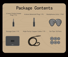 Load image into Gallery viewer, [🎶SG] TANGZU XUANWU GATE II (XUAN WU GATE 2)- 1DD + 4BA + 4EST In-ear Monitors
