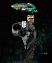 Load image into Gallery viewer, [🎶SG] TIPSY M3 - 1DD + 2BA Hybrid In-ear Monitors
