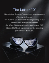 Load image into Gallery viewer, [🎶SG] COZOY D2 - 2 Dynamic Driver IEMs
