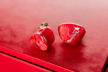 Load image into Gallery viewer, [🎶SG] DUNU DN242 - 2 DD + 4 BA + 2 Micro Planar Drivers IEMs

