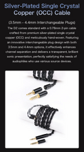 Load image into Gallery viewer, [🎶SG] COZOY D2 - 2 Dynamic Driver IEMs
