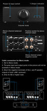Load image into Gallery viewer, [🎶SG] Topping LA90 AB Class Power Amplifier
