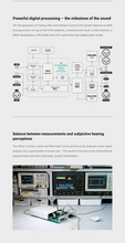 Load image into Gallery viewer, [🎶SG] DA-ART YULONG AQUILA III (AQUILA 3) AK4499EX+AK4191 DAC Amplifier
