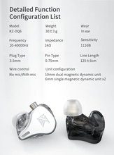 Load image into Gallery viewer, [🎶SG] KZ DQ6 3DD In-Ear Monitors With Mic
